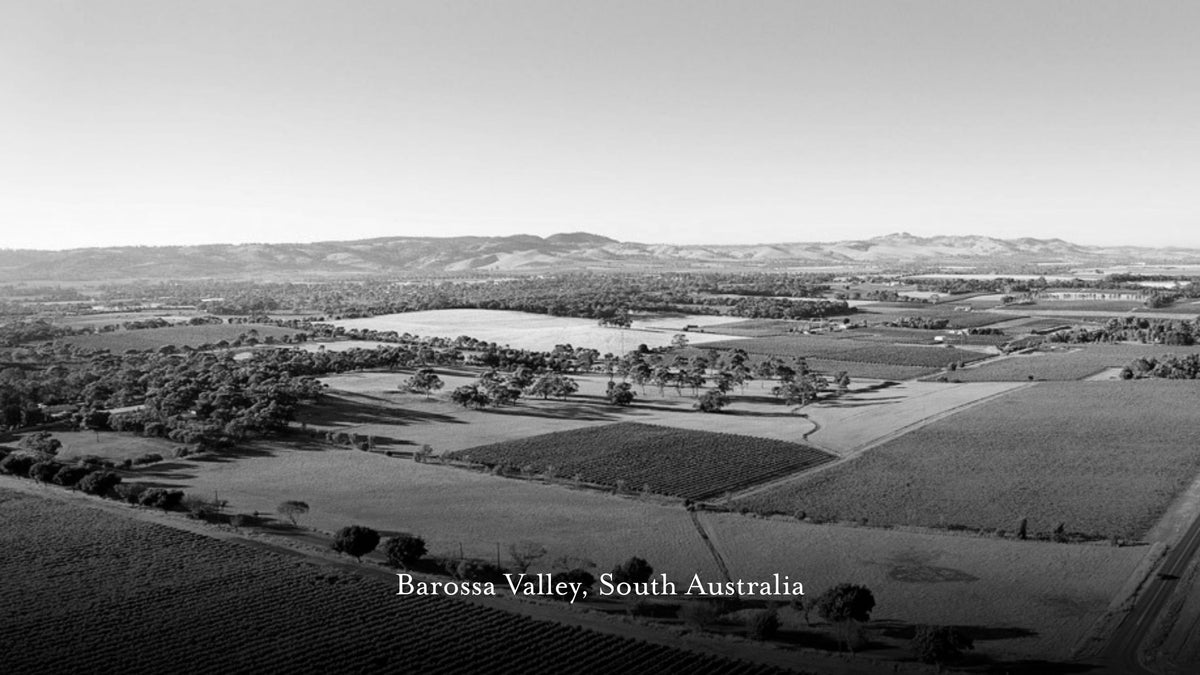 Black and white aerial landscape photograph of Barossa Valley in South Australia, showing vineyards, fields, trees, and distant hills under a clear sky.