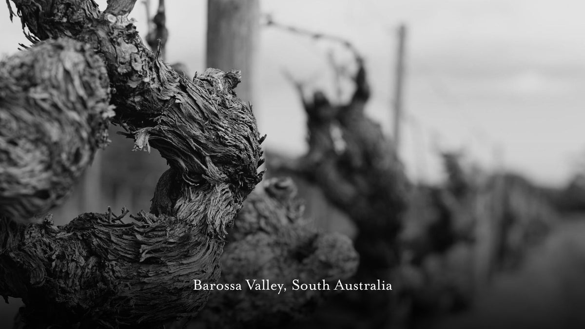 Black and white photograph of a close-up vine trunk in a vineyard with blurred rows in the background, captioned 'Barossa Valley, South Australia' in white text at the bottom left.